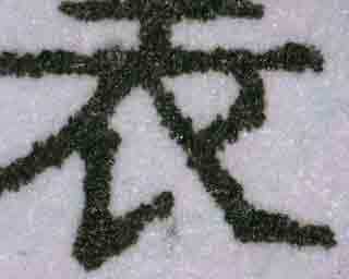 ˼(lin)ϿƼ޹˾KF-1๦Cz(yn)x